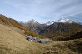 20091028_132930 Colvedro.jpg